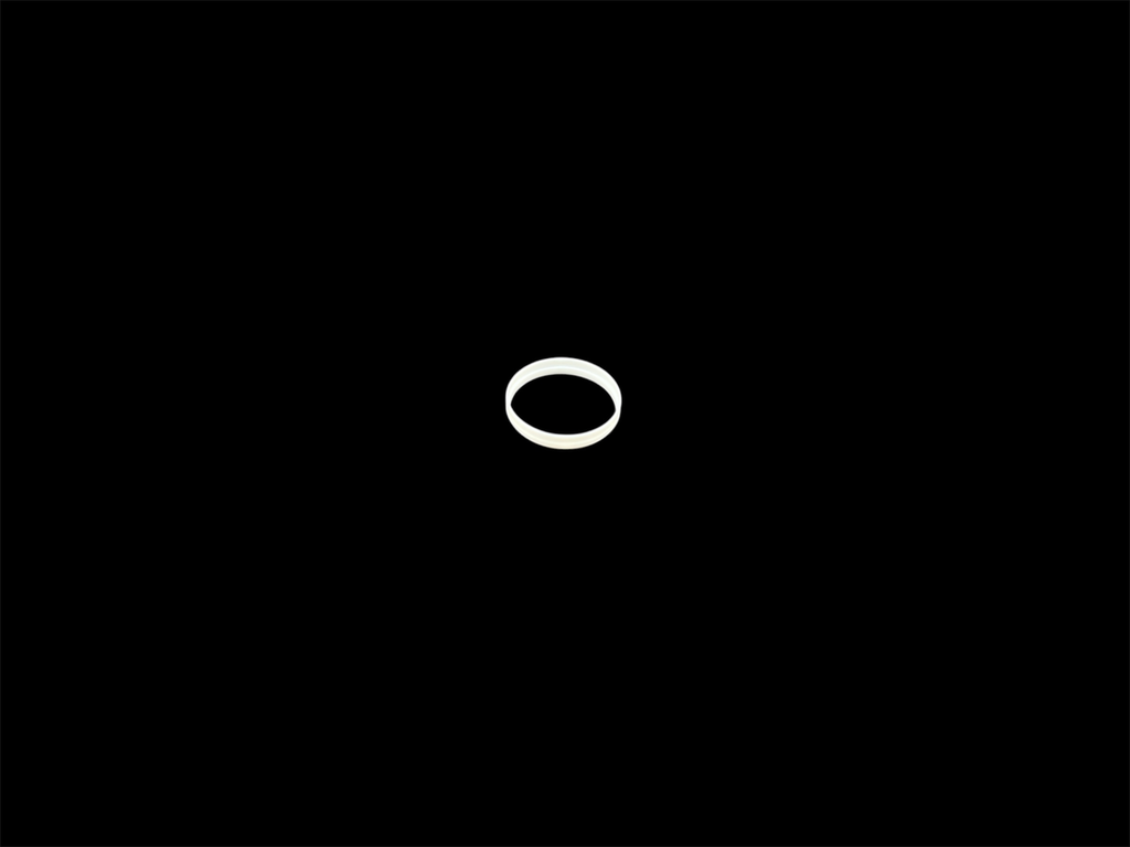 RS Super Deluxe Damper Piston Glide Ring, 1 pc