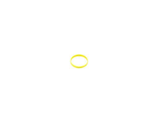 [RSSP1114-1] FOX DHX2 Coil Damper Piston Glide Ring, 1 pc